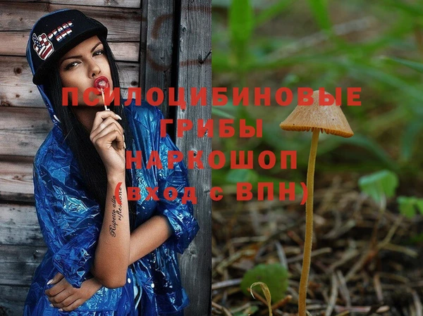 гидропоника Алзамай