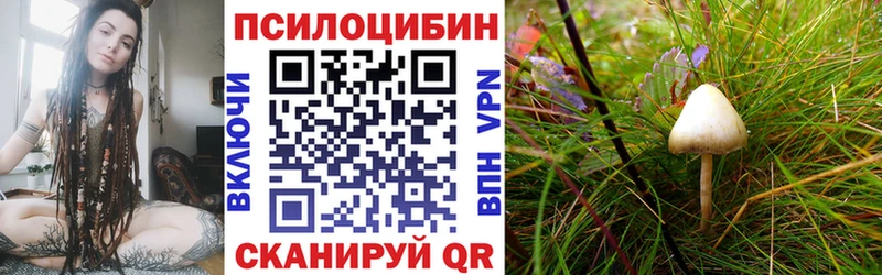 гидра как войти  где можно купить наркотик  darknet состав  Галлюциногенные грибы мицелий  Нижнеудинск 