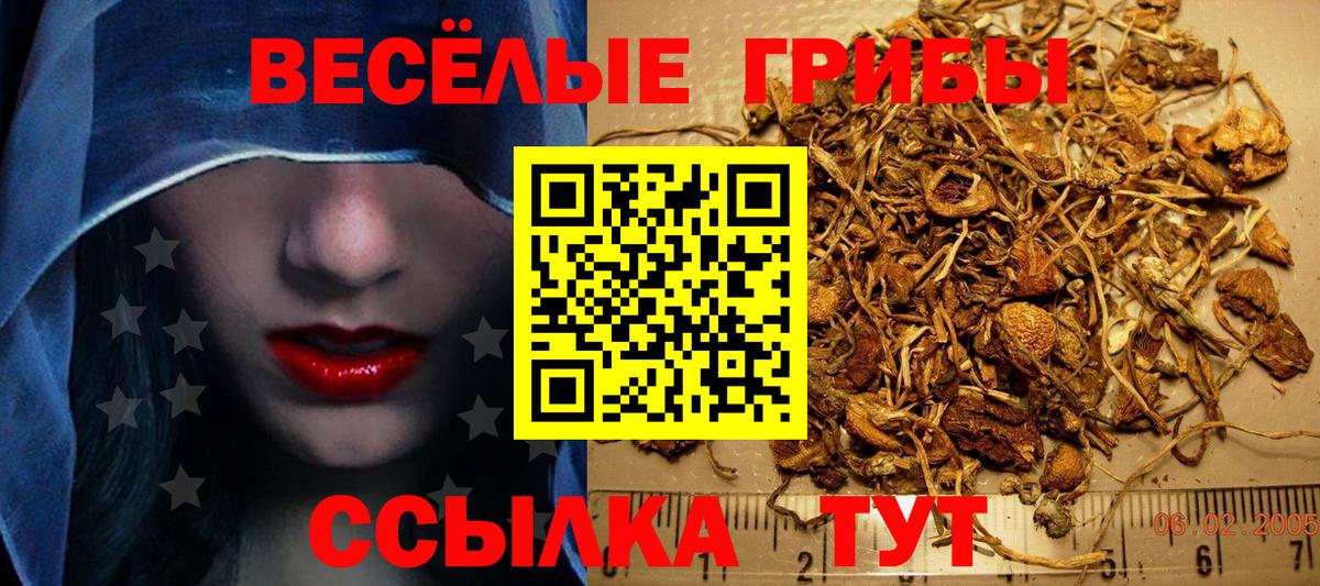Нижнеудинск  Псилоцибиновые грибы Cubensis  Вход с VPN 